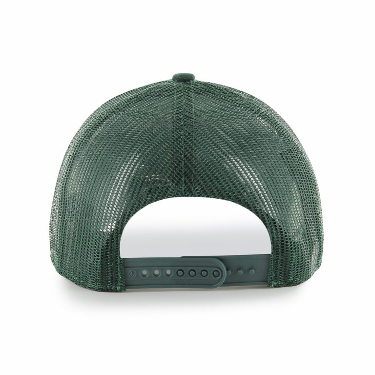 B-RHTWL17CTP-DG-HR-F - Copy