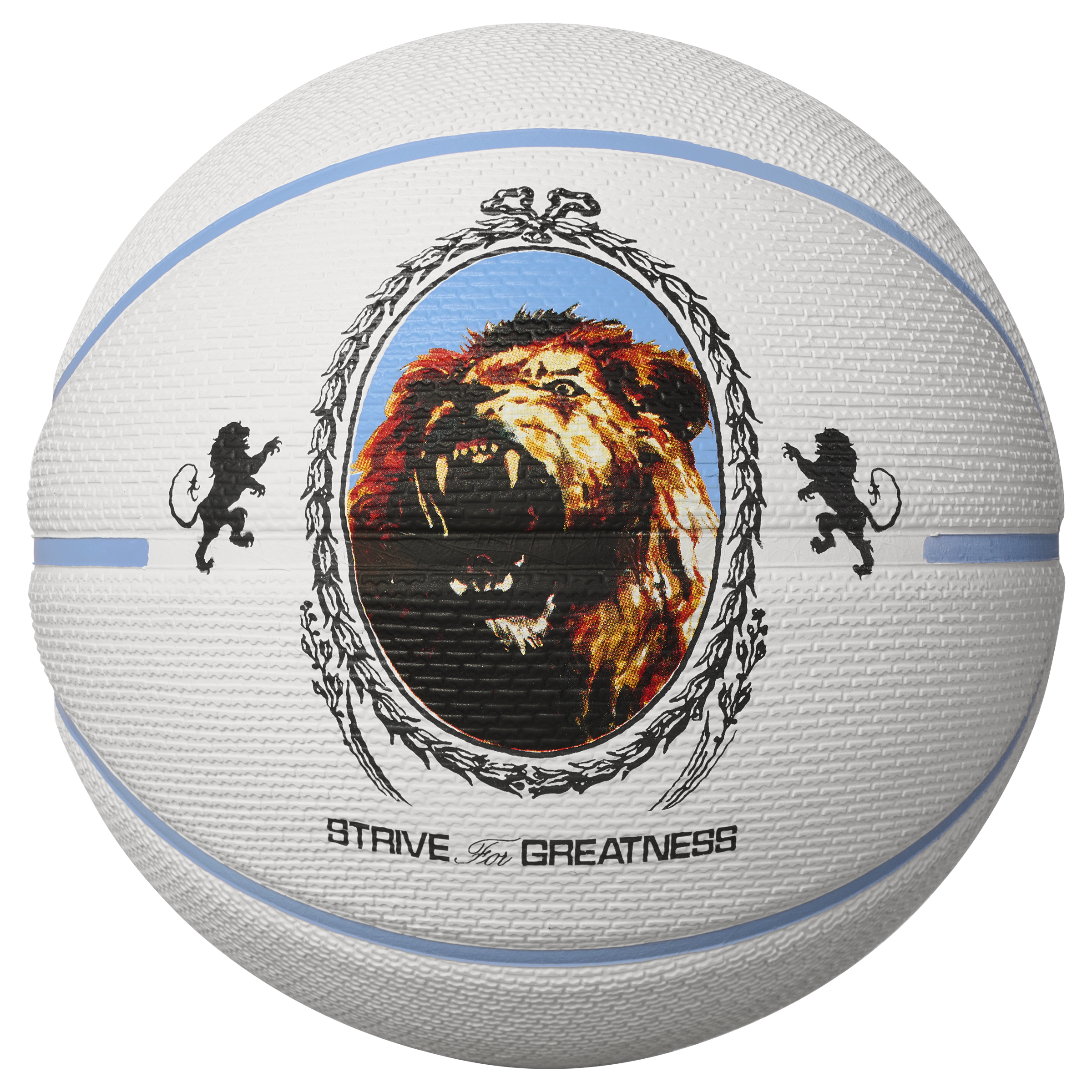 כדור כדורסל לברון ג'ימס